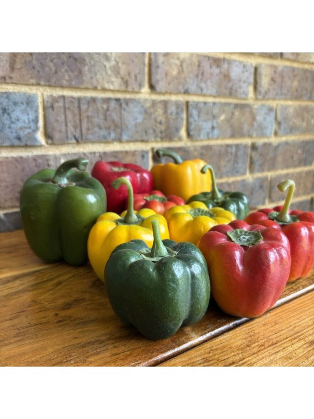 Artificial Fruit Realistic Coated Foam Lot Of 10 Bell Peppers Sweet Capsicums